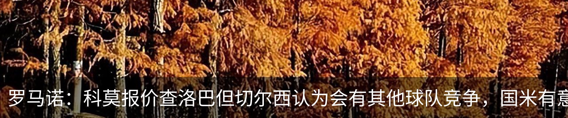 热点资讯