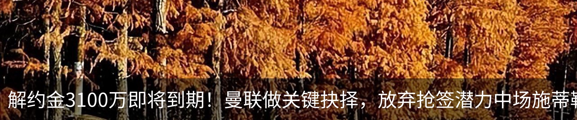 热点资讯